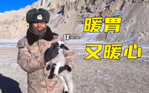 暖胃又暖心！冬季的高原边防农场：蔬菜满园、牛羊成群