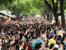 快转给你的旅游搭子！1.1亿人次！我国暑期出入境人数再创新高！