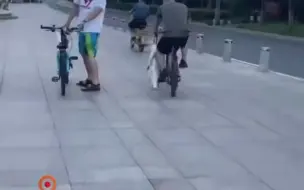 8月15日，山东聊城，男子挂着刚钓上来的大鱼骑车过广场，引众人瞩目。网友：钓鱼人三过家门而不入
