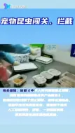 世界最长甲虫！海关截获8只活体长戟大兜虫