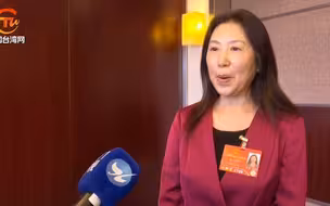 全国人大台湾省代表团代表谈政府工作报告——中国的未来值得期待