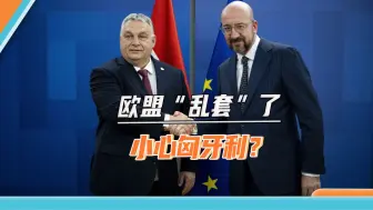 米歇尔宣布提前离职遭批，欧盟各大成员国急了：小心匈牙利