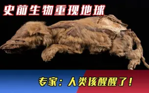 永久冻土融化，距今2.8万年史前生物重现世界，专家：人类该醒醒了！