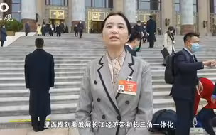 两会有你|关于政府工作报告，上海代表为这些内容点赞