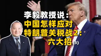 李毅教授说中国怎样应对特朗普关税战2：六大招(3)