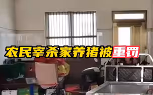 农民宰杀家养猪分售700元被罚5万 获法律援助后改罚5千