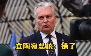 立陶宛总统终于意识到错了：不应该允许台湾当局以“台湾”名义设立“代表处”