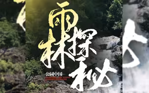 国际热带日 封面新闻邀您探秘海南热带雨林｜公园中国·雨林探秘