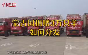 首批蒙古国捐赠羊抵达武汉 将分配给医务工作者