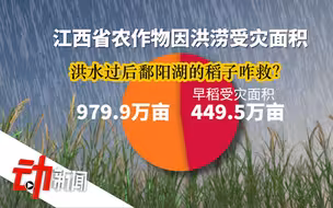 连续40余天发布暴雨预警，洪水过后鄱阳湖的稻子咋救？
