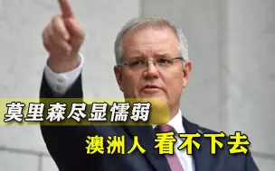 全世界与特朗普撕破脸，唯独澳大利亚怂了，莫里森终被自己人看穿