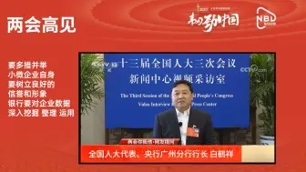 白鹤祥：解决小微企业贷款难问题要多措并举