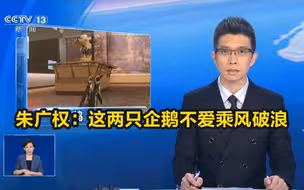 段子手朱广权：这两只企鹅不爱乘风破浪，爱“逛”馆！