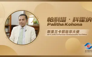 专访斯里兰卡前驻华大使：是我们主动向中国寻求资金支持