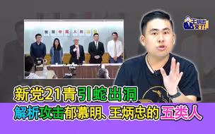 新党21青引蛇出洞 解析攻击郁慕明、王炳忠的五类人