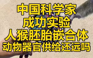 人猴胚胎嵌合体成功!动物器官供给还远吗?