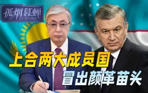 颜革猛于新冠，上合成员国接连中招，如何动态清零，考验中国定力