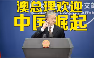 汪文斌：希望澳方将口头表态转化为实际行动