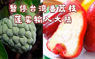 多次检出有害生物！海关总署：暂停台湾番荔枝和莲雾输入大陆