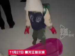 谁羡慕了！哈尔滨狗狗拉雪橇接小主人放学回家
