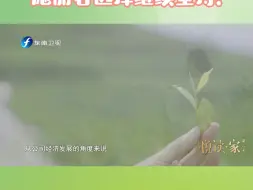 打造有机茶园太不“生意人”？施丽君选择继续坚持！