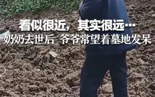 看似很近，其实很远…奶奶去世后 爷爷常望着墓地发呆
