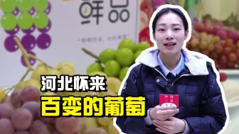 聚焦三农丨河北怀来：百变的葡萄
