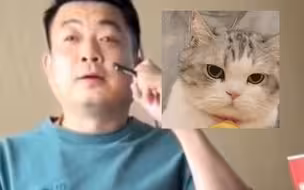 王心凌的实力霸总粉丝，送枣糕为王心凌拉票
