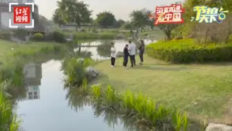 沿着高速看中国｜节拍天下：在清水河生态公园感受春意