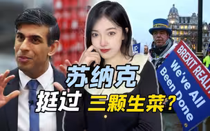 苏纳克解决“脱欧”遗留问题，英国民众却反悔了：让我们重返欧盟