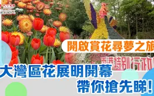 開啟賞花尋夢之旅！大灣區花展明開幕 帶你搶先睇！