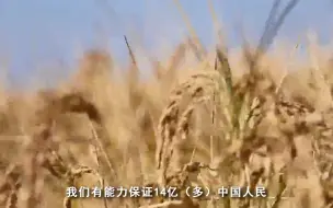 2022：春天里的两会声音