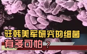 驻韩美军研究的细菌有多可怕？