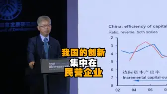 北京大学国家发展研究院副院长黄益平：我国的创新集中在民营企业