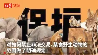 专访全国政协常委吕忠梅：为保障公共健康，应该“打包修法”
