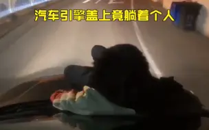 看把你豪横的！一个敢躺，一个敢开…这操作该罚！