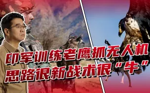 印美军演对抗无人机，训练老鹰击落几百架，这也就印度人能想出来