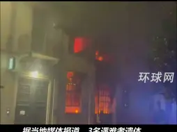 意大利米兰一商铺起火致3名中国人死亡，救援现场浓烟弥漫