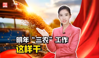 三农锐评丨精绘蓝图，强抓落实，明年“三农”工作这样干