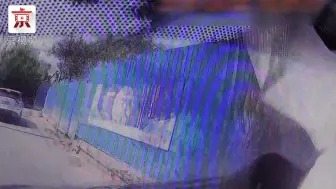 单方事故也需报警！司机驾车猛撞树，未及时报警险被拒赔