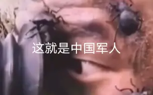 昆虫爬脸纹丝不动，这就是中国军人！