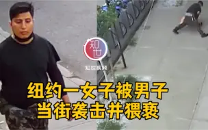 纽约一女子被男子当街袭击并猥亵