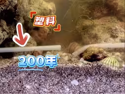 PHA“可生物降解”吸管在自然环境中的寿命有多长？
