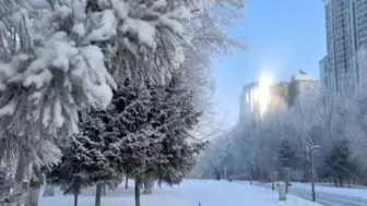 最是冬色满冰城，来“尔滨”赏冰玩雪