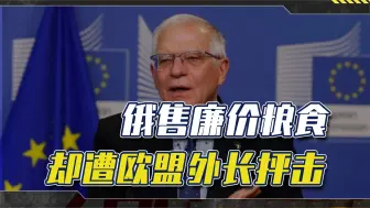 俄向非洲售廉价粮食，却遭欧盟外长抨击：会让非洲人对食物上瘾