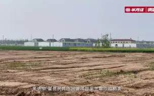 盗采一亩，获利8万：“土沙盗采”威胁黄河故道生态安全