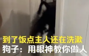到了饭点主人还在洗漱，狗子一旁焦急等待，网友：愤怒的眼神却显得可爱