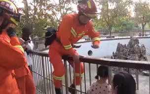 可怜又好笑！萌娃公园看猴子 头卡护栏反被猴围观