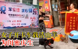 女子开卡车载活山羊为闺蜜庆生：本来想送猪，但猪太大赶不动