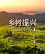涉及粮食安全、农业科技、和美乡村建设......2024重庆推进乡村全面振兴十大亮点来了！